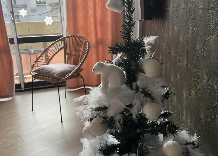 דירה Vauban Magnifique T2 Avec Balcon *